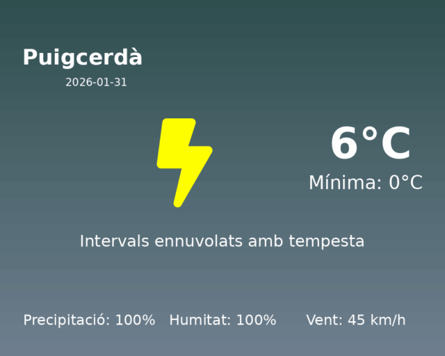 puigcerda_2026-01-31.png