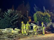 Actuació ràpida per retirar arbres caiguts a Puigcerdà