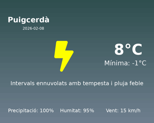 puigcerda_2026-02-08.png
