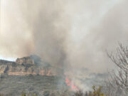 Estabilitzat l’incendi de Llimiana, que afecta unes 6,5 hectàrees