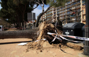 Els Bombers de la Generalitat reben més de 660 avisos per la ventada, el 75% a la demarcació de Girona