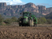El Pallars impulsa la recuperació de cereals antics com l’espelta per produir una farina de qualitat i de proximitat