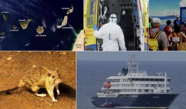 hantavirus_reputacion_turistica_canarias-1x1.jpg