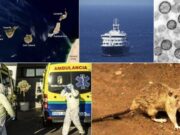L’Institut Coordenades adverteix de l’impacte turístic de la crisi del MV Hondius a Canàries