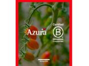 Azura aconsegueix el reconeixement B Corp per a les seves entitats de tomàquets cherry