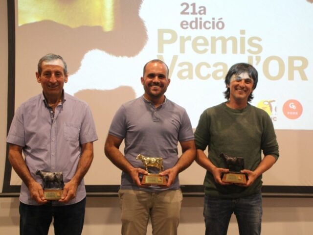 noticia_1781256254.jpg