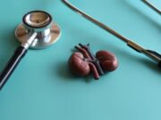 L’hospital universitari la llum impulsa el programa intERcede per a la malaltia renal crònica