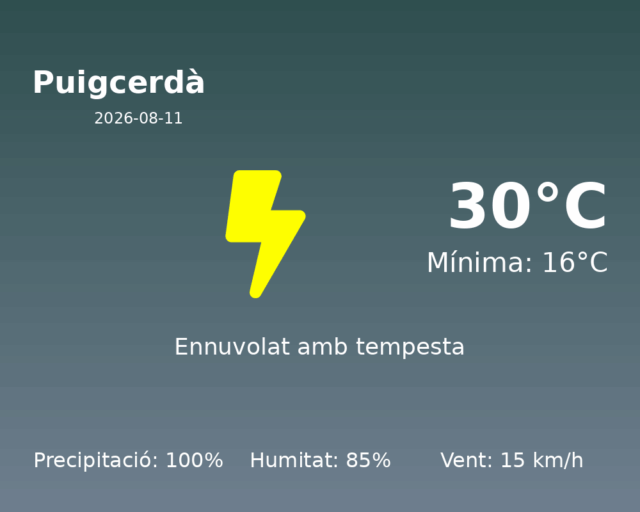 puigcerda_2026-08-11.png